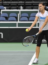 Fed Cup 2014, tenis, Lucie Šafářová