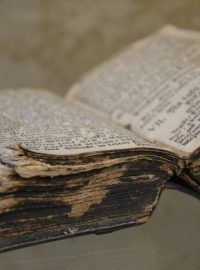 Putovní výstava Bible včera, dnes a zítra