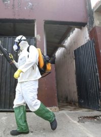 Horečnatým onemocněním se v Sao Paulo nakazilo od začátku roku 70 tisíc lidí