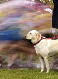 Londýnský maraton přilákal desetitisíce běžců i diváků