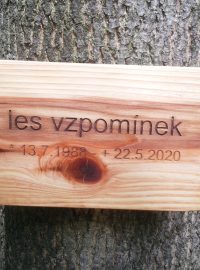 Cedulka na stromě v Lese vzpomínek