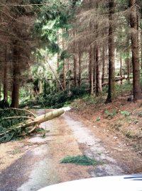 Lesy na Orlickoústecku poničila bouře. Lesníci odklízejí popadané stromy a sčítají škody