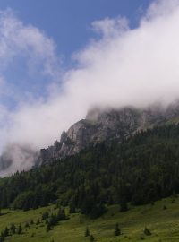 Krivánská Malá Fatra, Velký Rozsutec, pohled ze sedla Medziholie