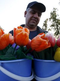 Pouliční prodavač tulipánů v Moskvě