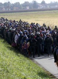 Policisté vedou skupinu migrantů u slovinského Dobova