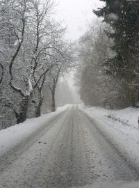 Sníh ve středu 13. ledna 2016 na Šumavě