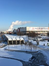 Kvůli obrovskému zájmu v Moskvě prodloužili výstavu Valentina Serova
