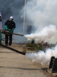 V Peru se snaží zničit larvy komárů, kteří virus Zika přenášejí