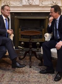 Předseda Evropské rady Donald Tusk (vlevo) a britský premiér David Cameron