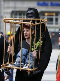 V Kolíně nad Rýnem začal tradiční festival