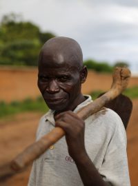 Zemědělec obchází své kukuřičné pole v Malawi