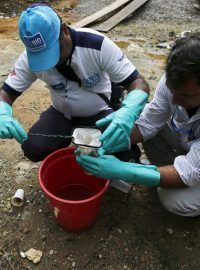 Pracovníci brazilských hygienických služeb se snaží zlikvidovat místa, kde se množí tropičtí komáři