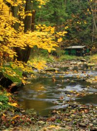 Údolí řeky Doubravy