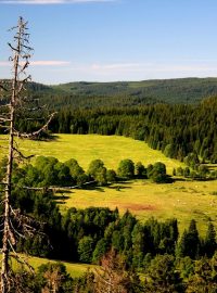 Šumava