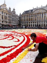 Bruselské Velké náměstí se proměnilo v květinový koberec