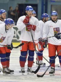 Trénink hokejové reprezentace