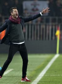 Rozvášněný David Holoubek. Sparta pod ním v Evropské lize vyhrála všechna utkání