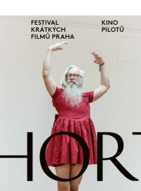 Festival krátkých filmů