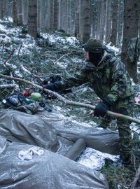 Winter Survival 2017
