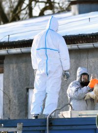 Likvidace chovu kachen v Řitovízi na Strakonicku, kde se vyskytla ptačí chřipka