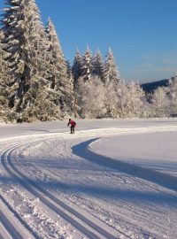 Běžkování v okolí vesnice Schöneben na rakouské straně Šumavy