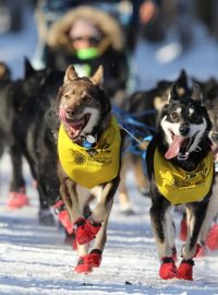 Iditarod