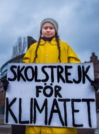 Patnáctiletá Švédka Greta Thunbergová protestuje před švédským parlamentem proti změně klimatu.