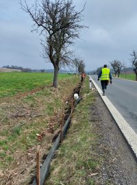 Instalace zábran na ochranu obojživelníků při hromadném jarním tahu