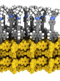 Vědcům pod vedením Jiřího Kalety z Ústavu organické chemie a biochemie AV ČR se podařilo připravit na povrchu pevného nosiče pravidelnou dvourozměrnou vrstvu tvořenou z molekulárních spínačů