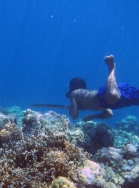 Kromě volného potápění jsou lidé z kmene Bajau zdatní v lovu ryb, ke kterému využívají oštěpy