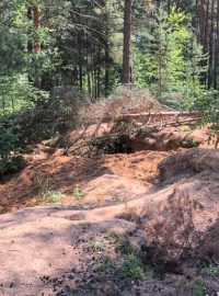 Krajina nedaleko obce Nesměň na Českobudějovicku, kterou poničili hledači vltavínů