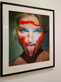Retrospektivní výstava fotografa Tona Stana v prostorách Městské knihovny
