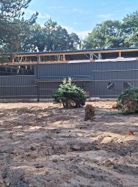 Stavba nové jezdecké haly v Kladrubech nad Labem