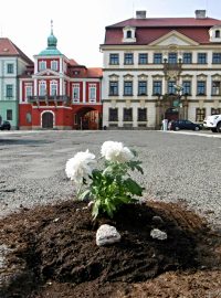 Květiny uprostřed parkoviště na Velkém náměstí v Hradci Králové