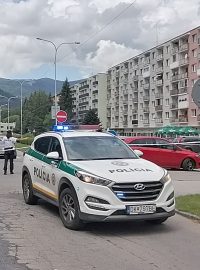 Slovenská policie