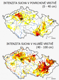 V půdě je tak malá zásoba vody, že ani normální průběh jarního počasí nebude v postižených oblastech plně stačit vegetaci k normálnímu růstu, v půdě není prakticky žádná vodní rezerva.