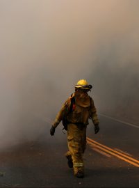 Lesní požáry v americké Kalifornii mají na svědomí už nejméně 31 obětí.