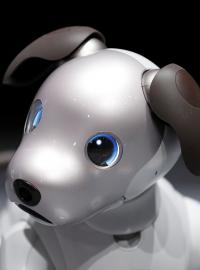 Japonská firma Sony se po víc než deseti letech vrací s novou verzí svého robotického psa Aibo