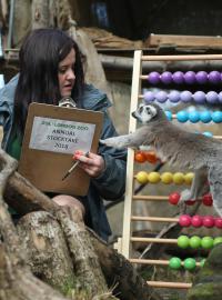 U některých druhu zvířat v londýnské zoo je sčítání složitější než u jiných
