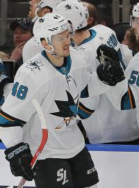 Tomáš Hertl slaví vítězný gól San Jose