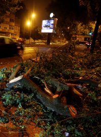 Polámané stromy a statisíce domácností bez elektřiny za sebou zanechala bouře Leslie, která se v noci přehnala přes Portugalsko.