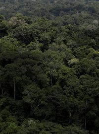 Brazilský prezident považuje oblasti vyhrazené pro domorodce za příliš velké, jeho kritici jej kvůli tomu viní z narušování rezervací.