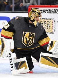 Brankář Vegas Golden Knights Marc-Andre Fleury