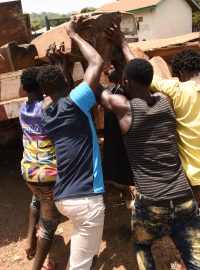 Muži nakládají čerstvě pokácené dřevo na nákladní vůz na západě Sierra Leone.