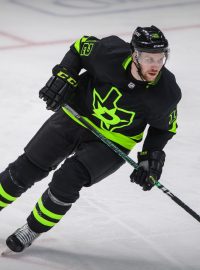 Radek Faksa