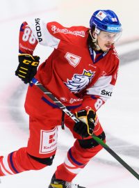 Český hokejista Libor Šulák