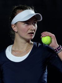 Barbora Krejčíková