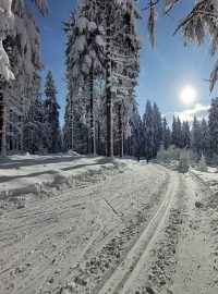 Běžecké tratě na Benecku v Krkonoších