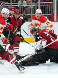 Hokejový brankář Karel Vejmelka zastavil v NHL 46 střel, přesto nezabránil porážce Arizony 2:4 s Calgary