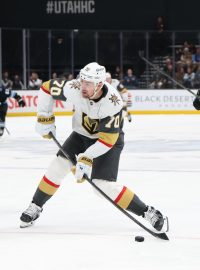 Vegas v NHL porazilo Utah 4:2